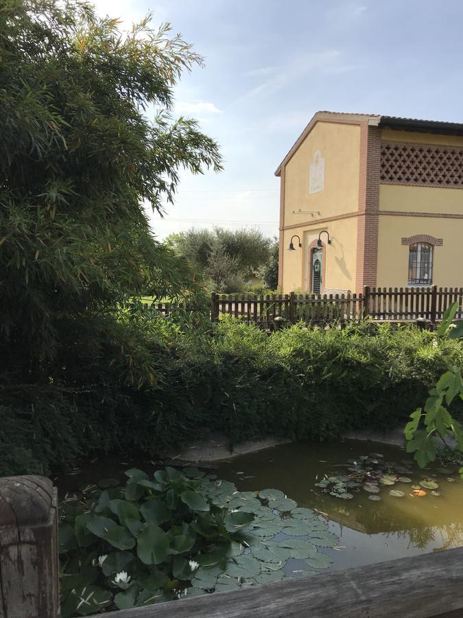 Agriturismo Corte Salandini Hotel Ponti sul Mincio Luaran gambar